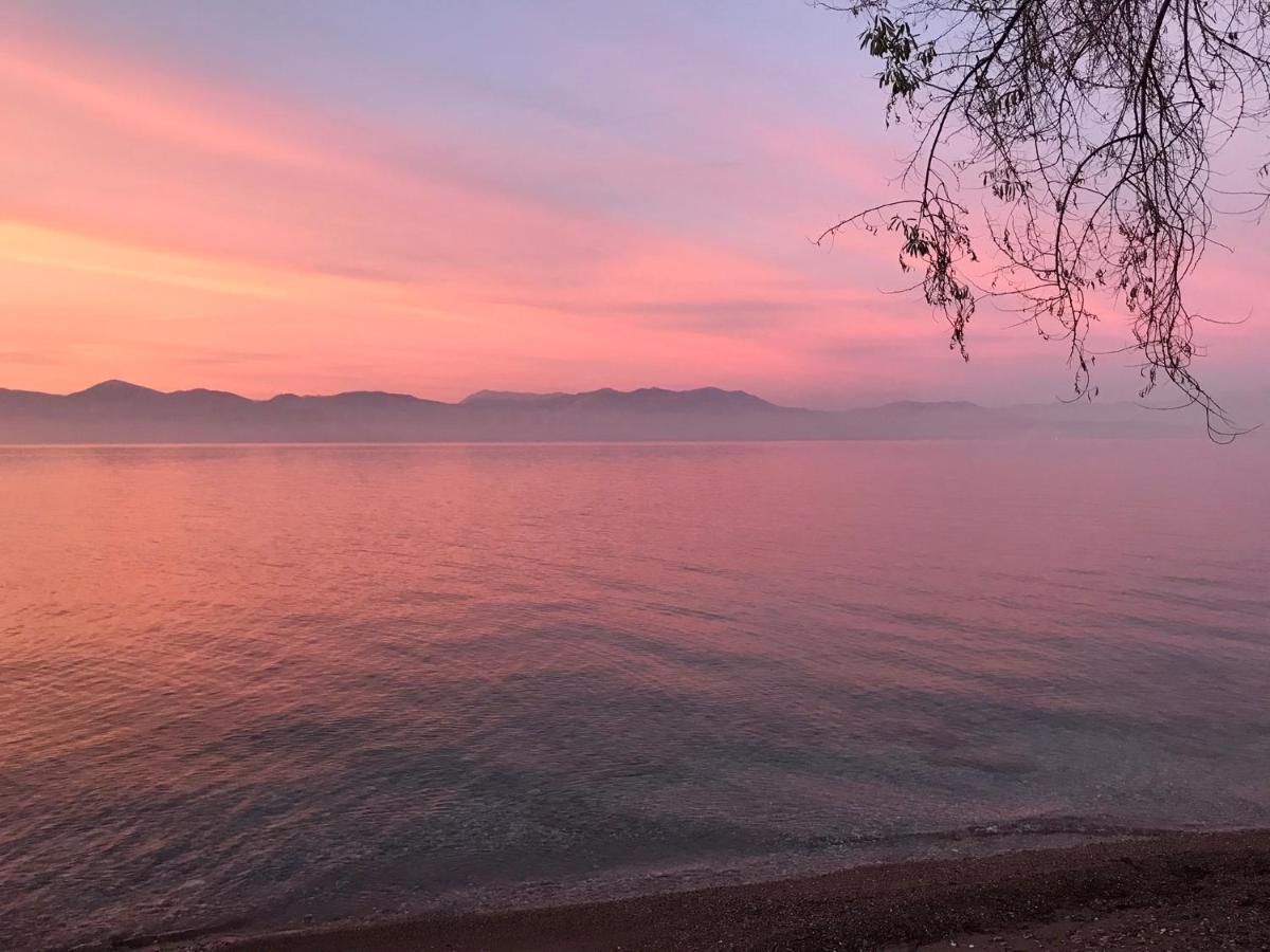 Artemis Apartments Διακοφτό Εξωτερικό φωτογραφία