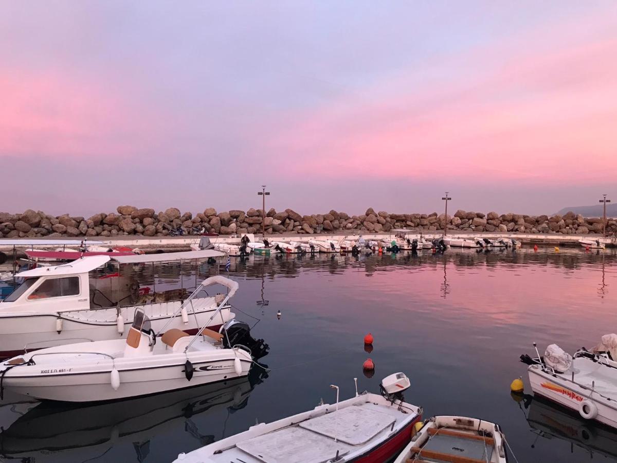 Artemis Apartments Διακοφτό Εξωτερικό φωτογραφία